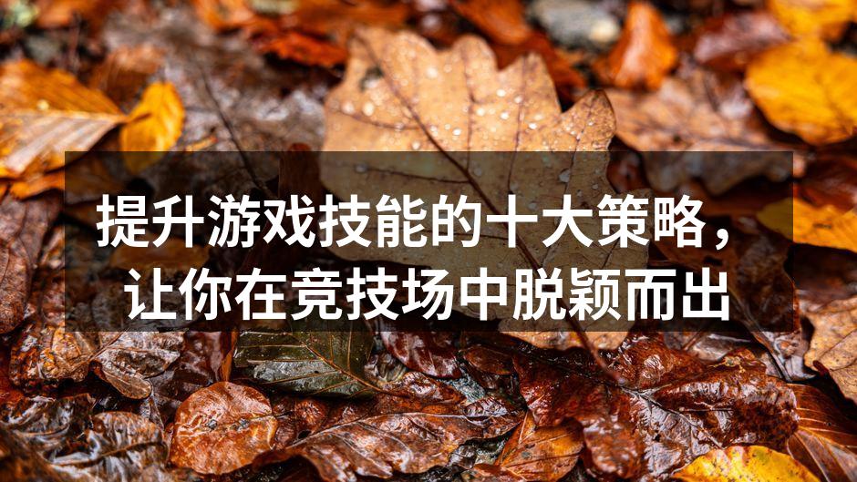 提升游戏技能的十大策略，让你在竞技场中脱颖而出